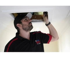 Spider Pest Control Adelaide | Thelocalguyspestcontrol.com.au