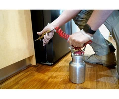 Termites in Brisbane | Thelocalguyspestcontrol.com.au