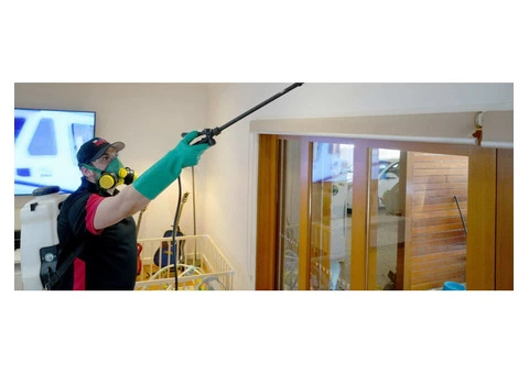 Bee Pest Control Perth | Thelocalguyspestcontrol.com.au