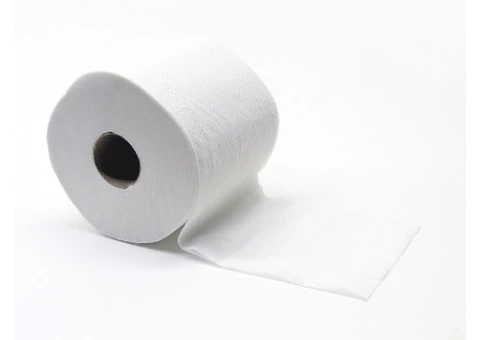 Cheeky Toilet Paper | Toile Troll Australian