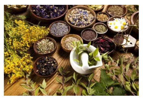 Best Naturopath in Sydney & Newtown Improves Your Health & Well-Being