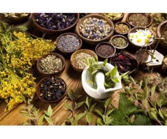 Best Naturopath in Sydney & Newtown Improves Your Health & Well-Being