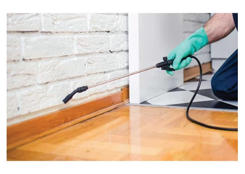 Pest Control Brisbane - 4/6
