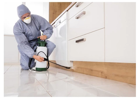 Pest Control Brisbane - 6/6