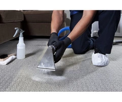 Carpet Cleaning Sydney
