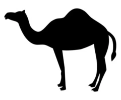 CAMEL Air Conditioning Load Calculator