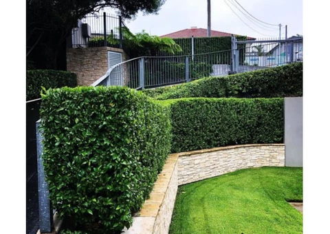 Landscaping Northern Beaches Sydney - 3/3