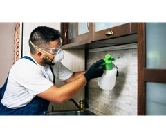 Pest Control Sydney