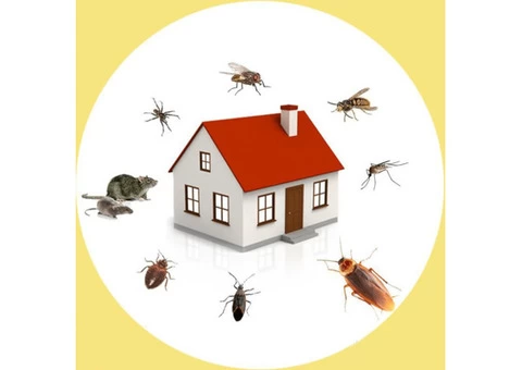 Pest Control Sydney - 2/5