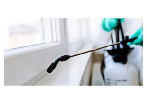 Pest Control Sydney - 4/5
