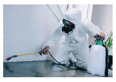 Pest Control Sydney - 5/5