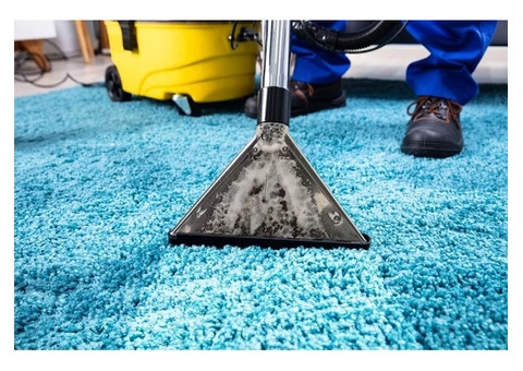 Complete Office Carpet Cleaning Services in Chatswood
