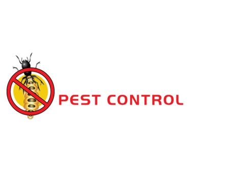 Bayswater Pest Control | Domestic and Commercial Pest Control Services in Melbourne
