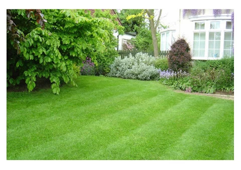 Evergreen Sprinkler and Landscaping Services - 4/8