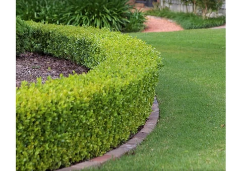 Evergreen Sprinkler and Landscaping Services - 7/8