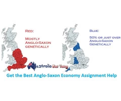 Get the Best Anglo-Saxon Economy Assignment Help