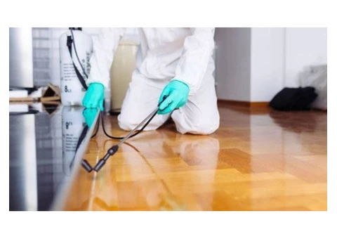 Pest Control Pimpama