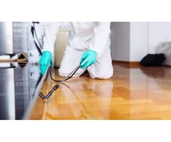 Pest Control Pimpama