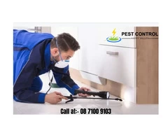 Permanent Pest Control Services in Happy Valley