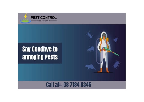 Advantageous Pest Control Services in West Beach