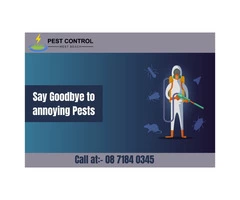 Advantageous Pest Control Services in West Beach