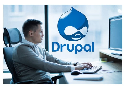 Hire Expert Drupal Developers for Your Next Project