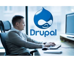 Hire Expert Drupal Developers for Your Next Project