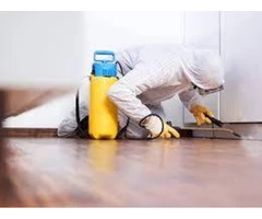 Pest Control Southport