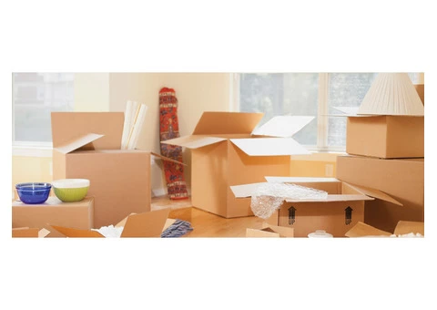 Furniture Removalists Canberra - 2/2