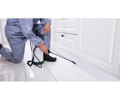 Pest Control Belconnen