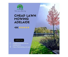 Lawn Mowing & Garden Services in Adelaide | Like Mowing
