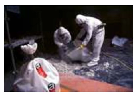 Asbestos Removal Specialist in Adelaide