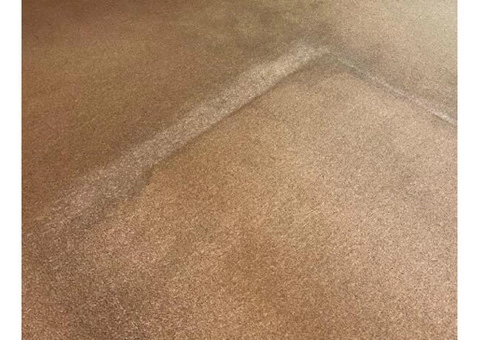 Carpet Cleaning Gold Coast - 5/5