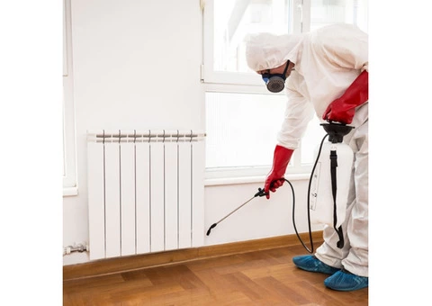 Hire The Best Commercial Pest Control Services in Melbourne