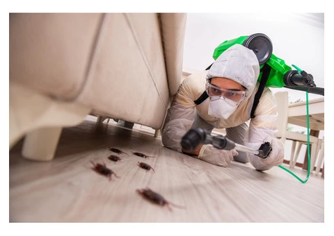 Pest Control Canberra - 1/3
