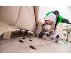 Pest Control Canberra