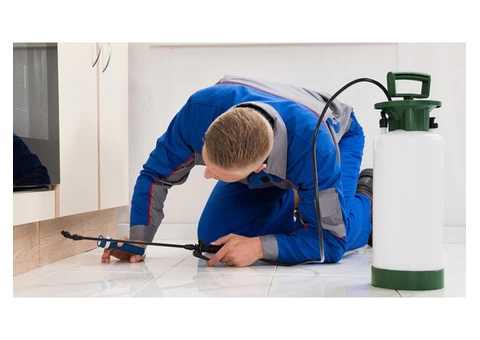 Pest Control Canberra - 2/3