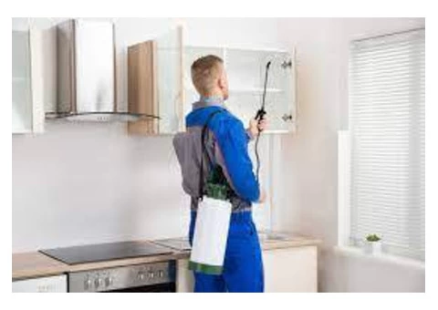 Pest Control Canberra - 3/3