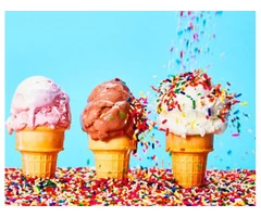 Hire Icecream Van in Perth - MR Aussie Whipp