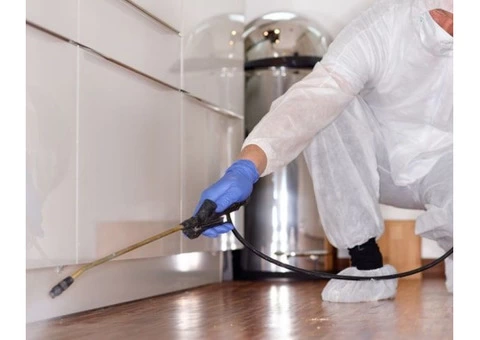 Pest Control Liverpool