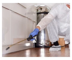 Pest Control Liverpool