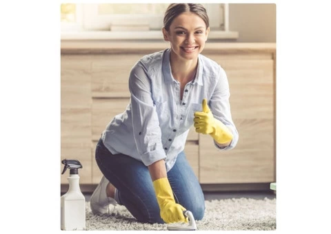 The Best Dog Urine Smell Remover Service in Balwyn