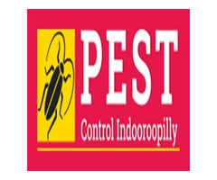 Pest Control Indooroopilly