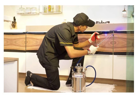 Your One Stop Pest Control Solution in Brisbane