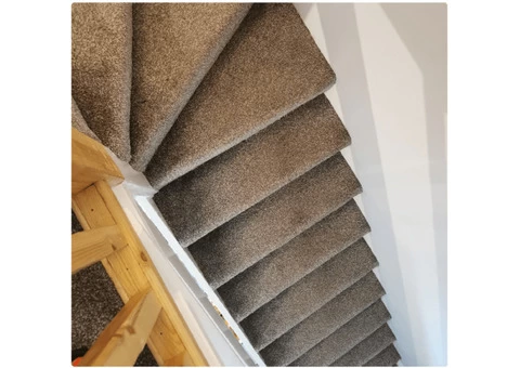 Carpet Cleaning Bentleigh