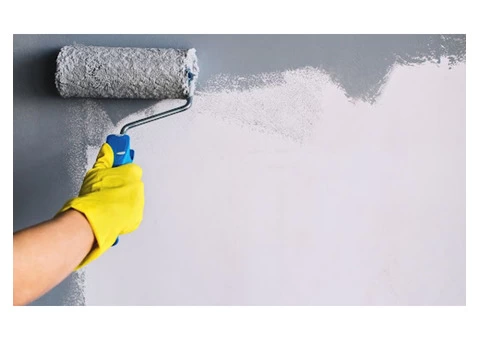 Professional and Expert Painter in Mosman - Sydney