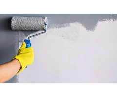 Professional and Expert Painter in Mosman - Sydney