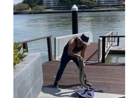 SEQ Snake Catchers - 2/6