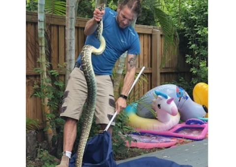 SEQ Snake Catchers - 3/6