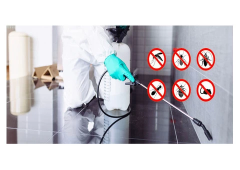 Get Rid Of Termites In Cotton Tree